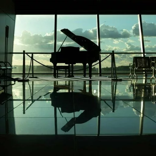 Piano on a mirrored floor with  a view of a forest
