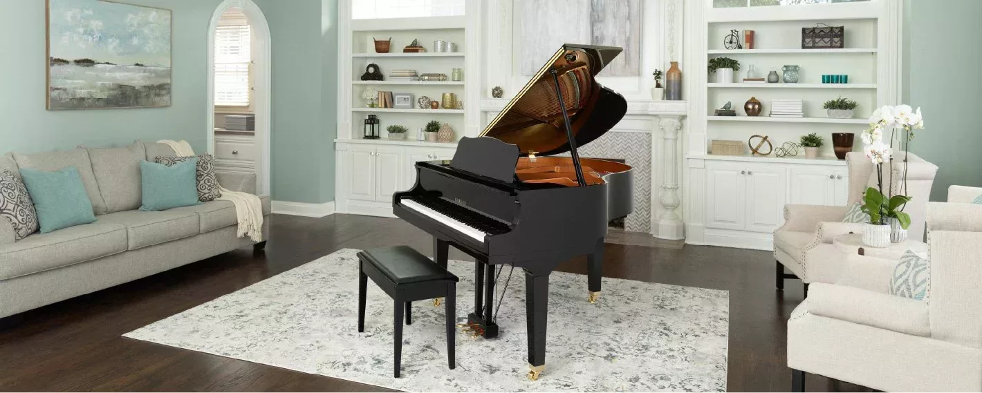 baby grand piano in living room