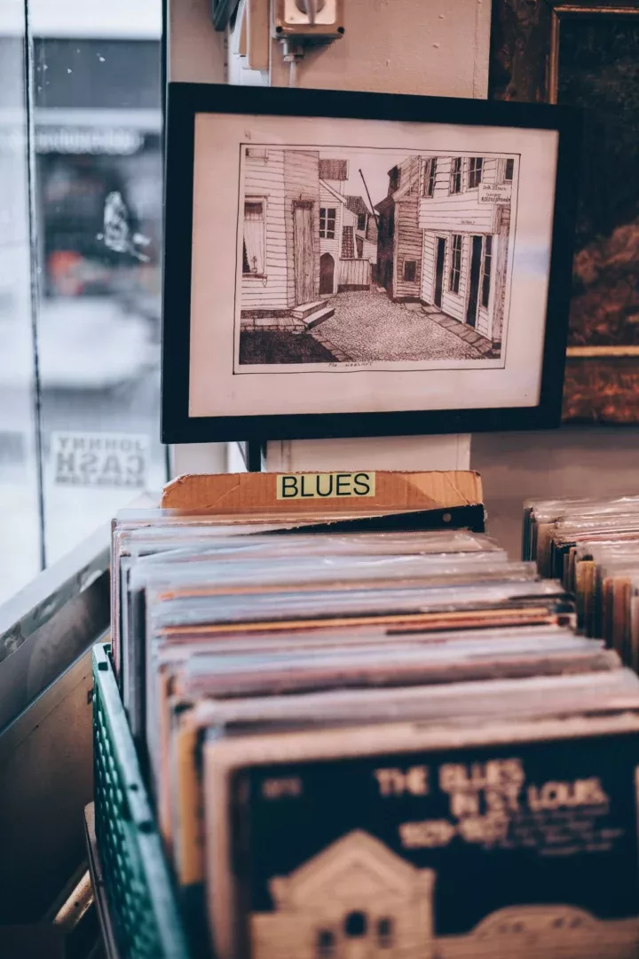 how to play the 12 bar blues - record shop